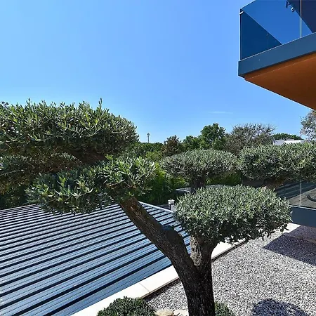 Apartman Art Spa Zeus 2191 *